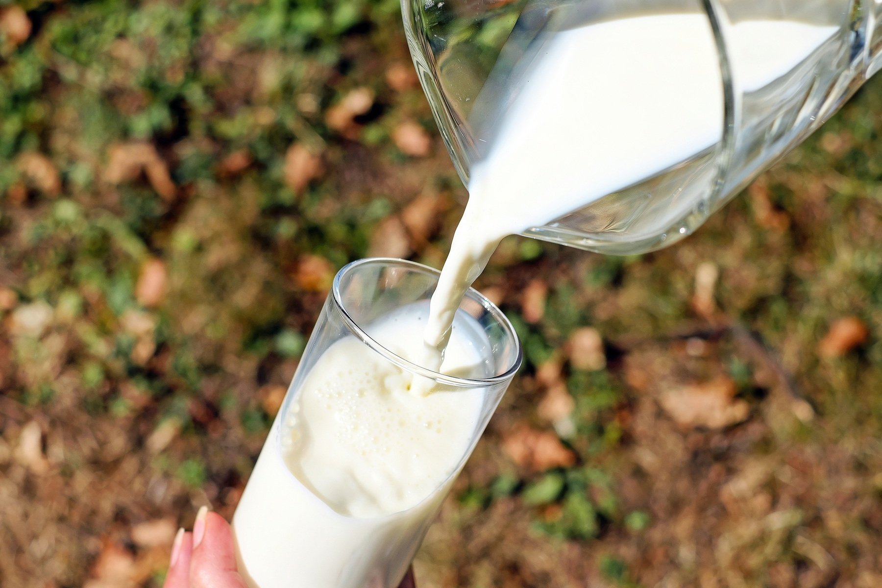 Beber leite desnatado desacelera o envelhecimento