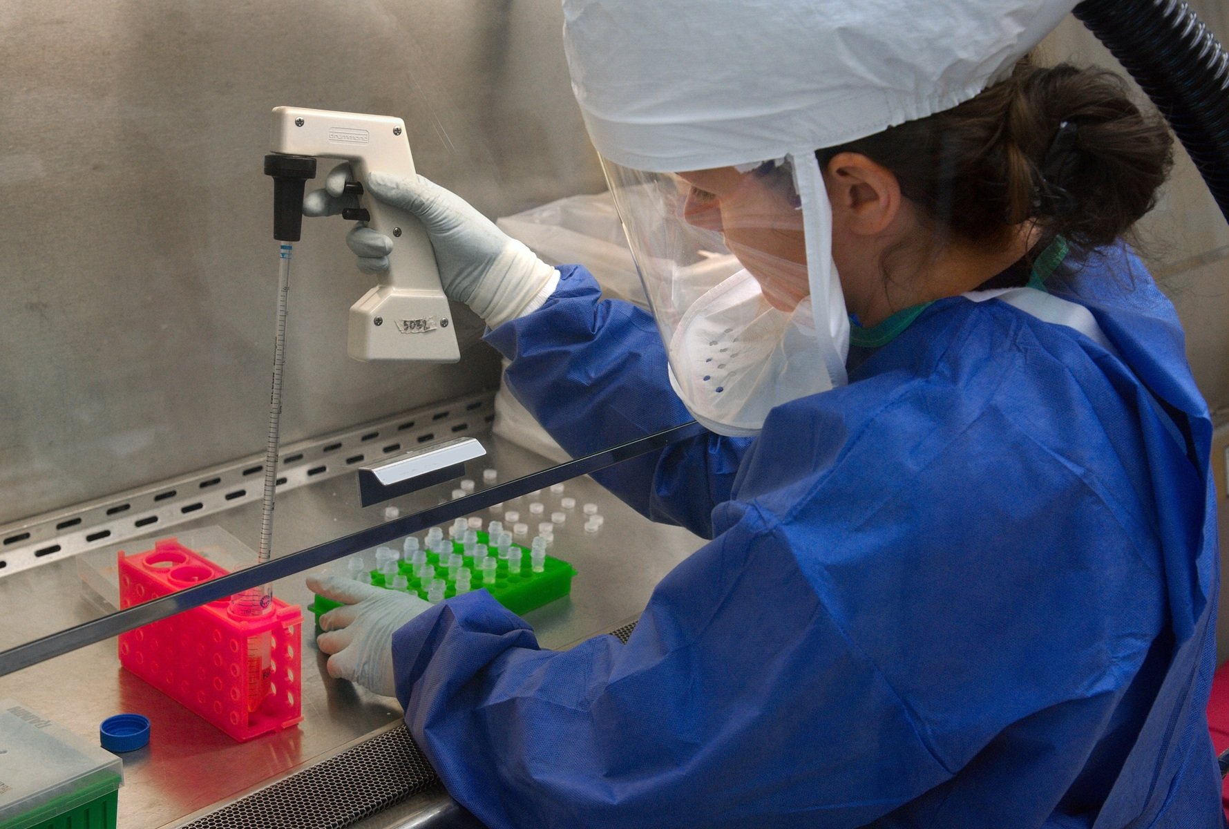 Vírus de laboratório estão sendo criados