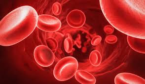 células do sangue